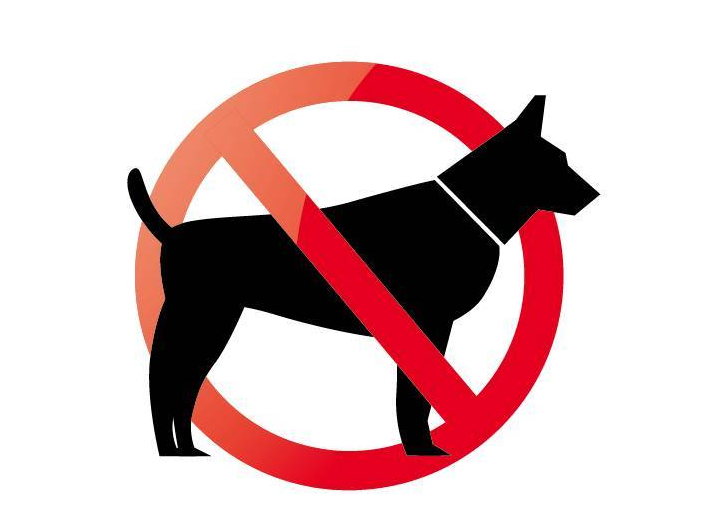 注意 家中的狗可能是 禁养犬 馋不腻天然狗粮 Mdeditor