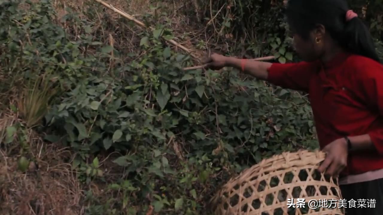 尼泊尔山区小姑娘大冬天摘野菜，回家还要煮饭炒菜，看着让人心疼