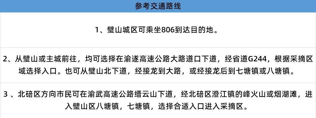 璧山樱桃登上央视，4月最热门的水果，好吃的重庆人都出动了