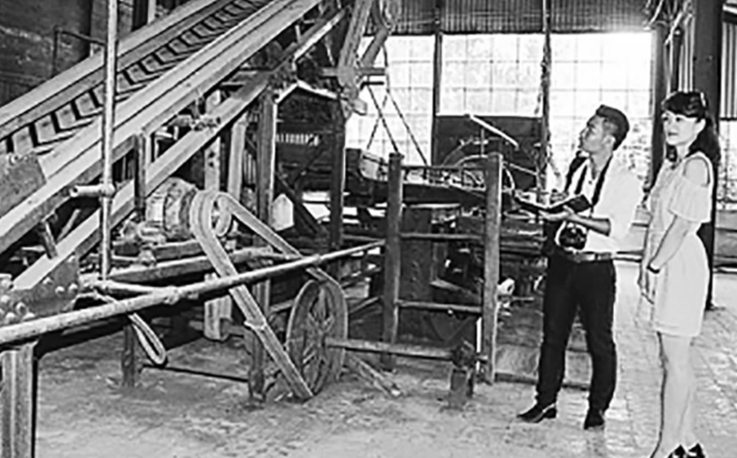 The first tea museum in Vietnam: a tea factory founded by the French in ...