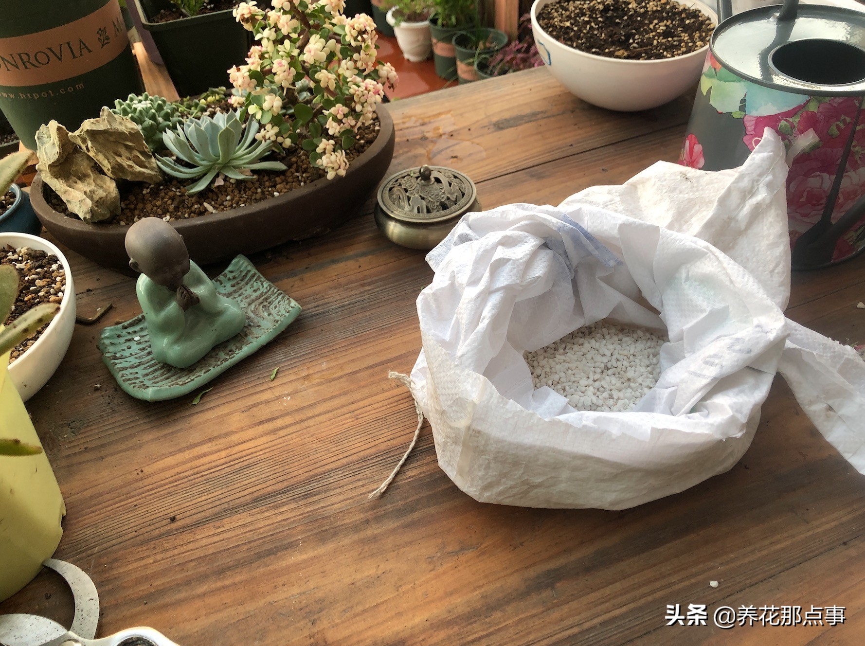 养花不能没有珍珠岩 提高土壤透气性 植物根系能长得粗壮发达