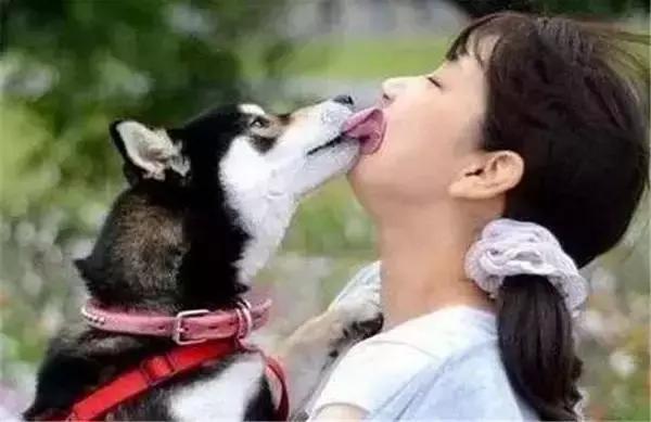 狗狗表达爱意的7种肢体动作，你看懂了吗？