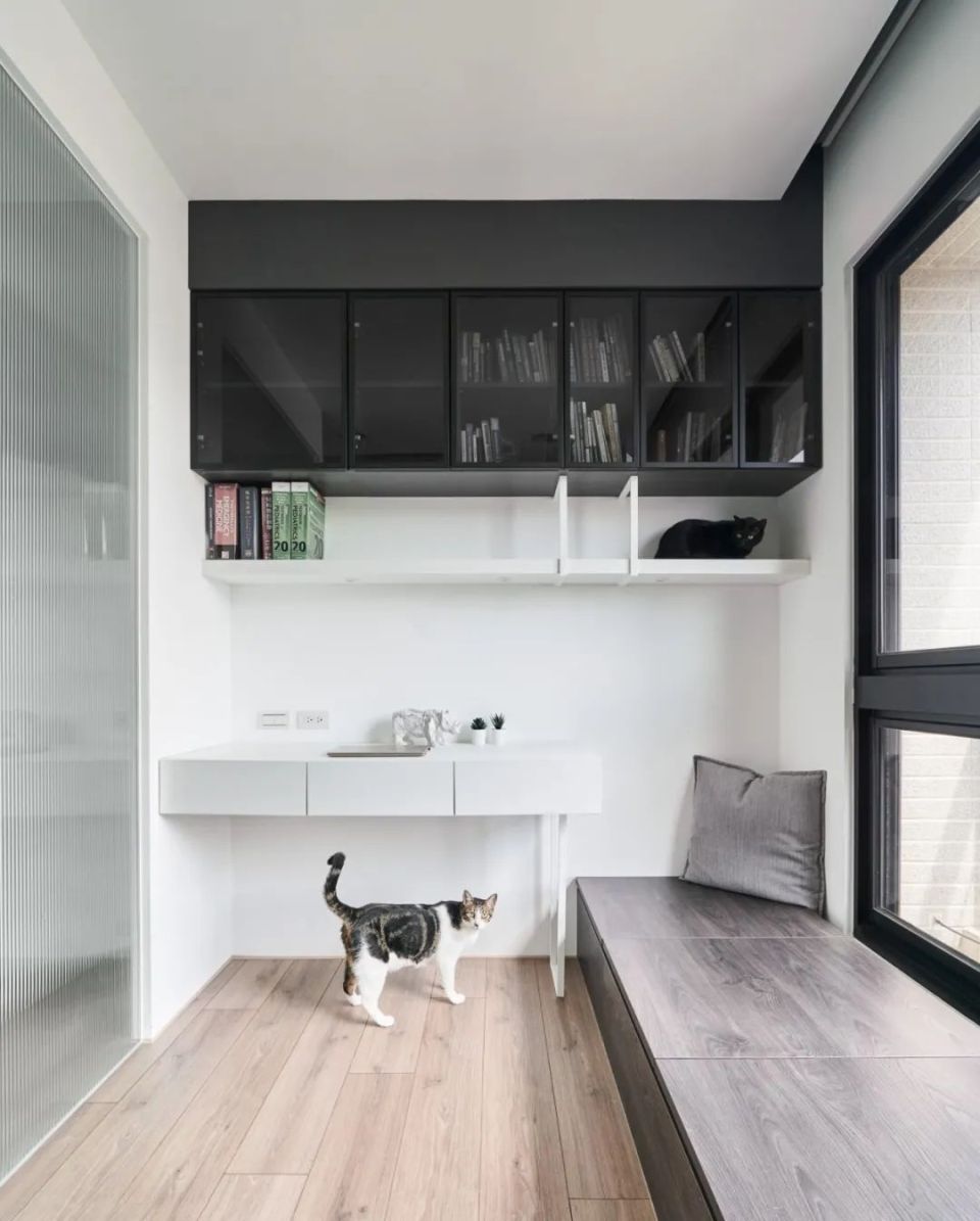 养宠家庭的“装修秘笈”┃ 东方一木科普