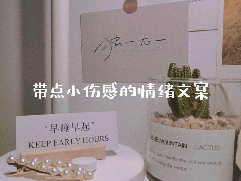 带点小伤感的情绪文案