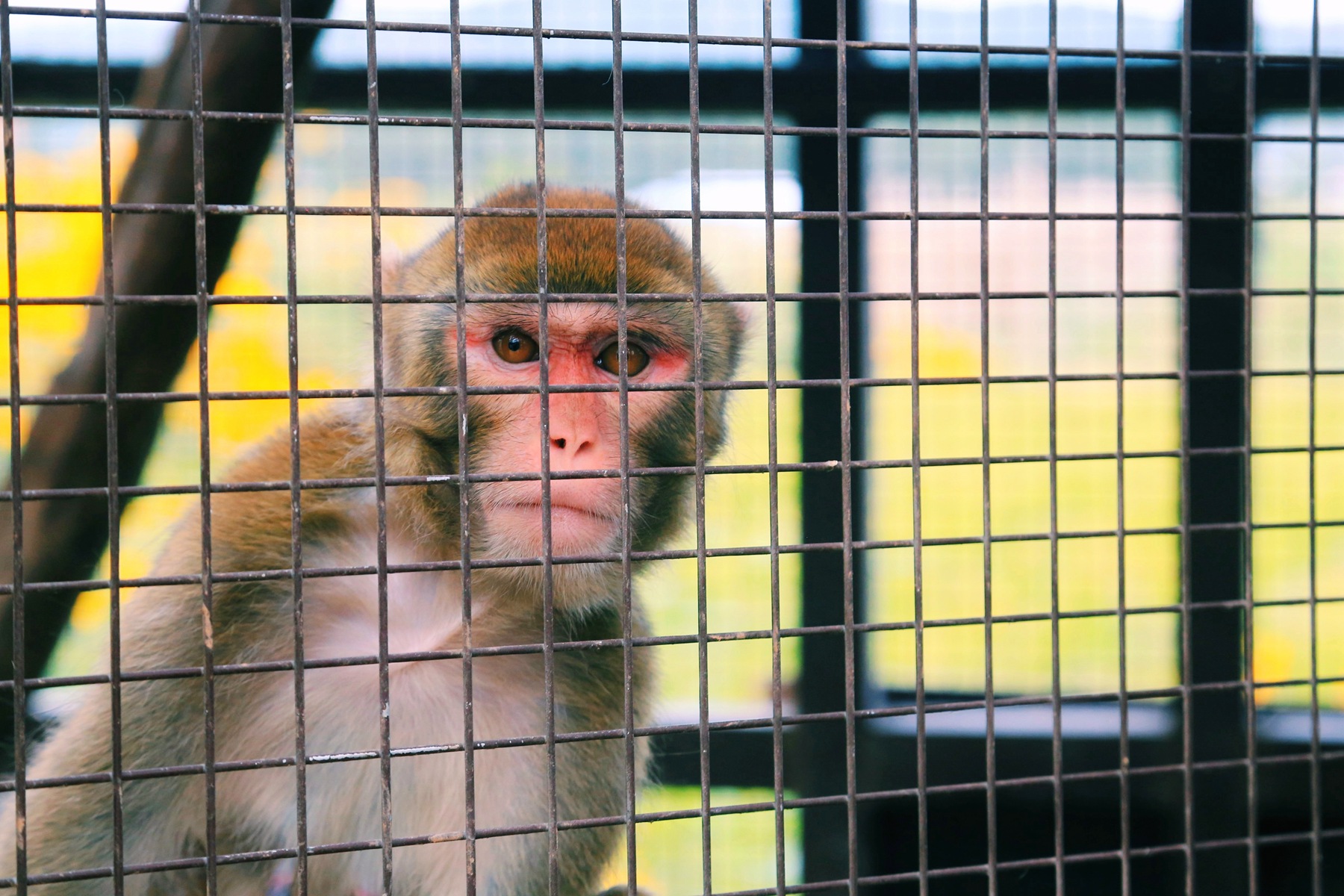 京郊密云小众亲子游，回归田园拥抱自然的超嗨假期