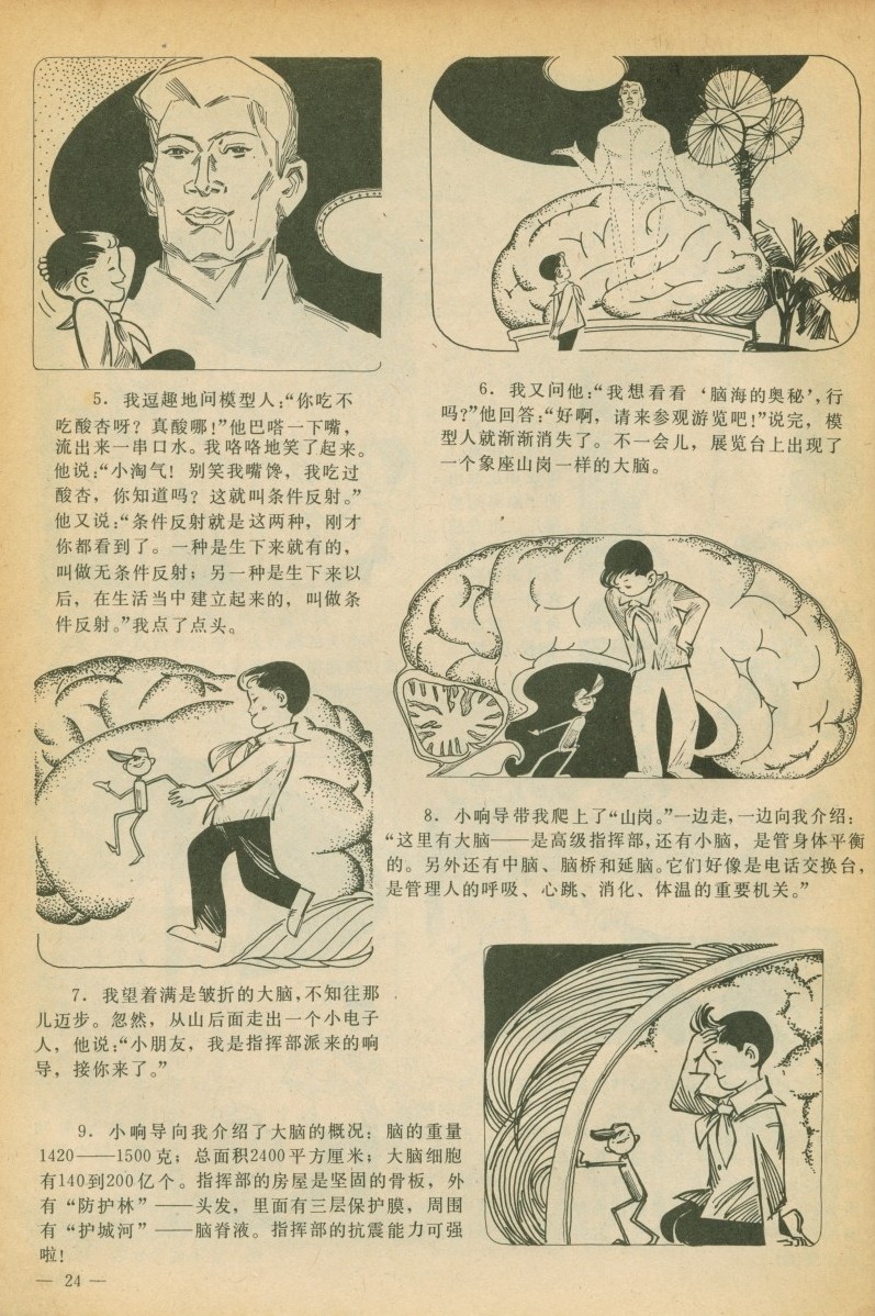 少年科学画报1979年第002期