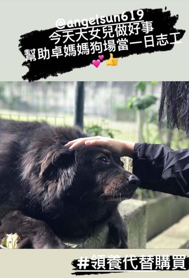 賈靜雯帶娃外出過週末，波妞熊抱羊駝超大膽，門牙脫落笑容很喜感