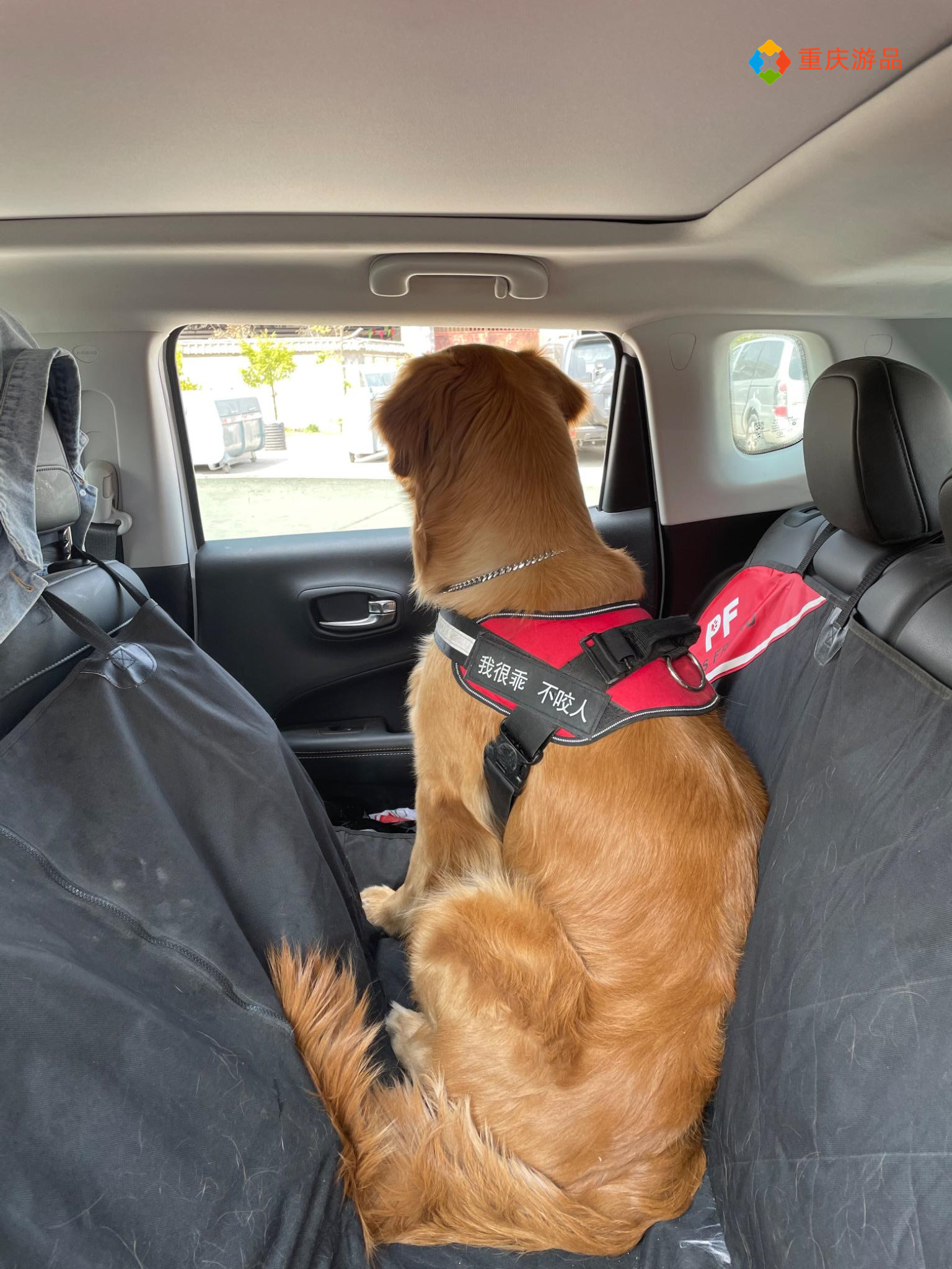 ​重庆小两口环游中国：在泸沽湖被冻得发抖，只能吃自热锅和泡面