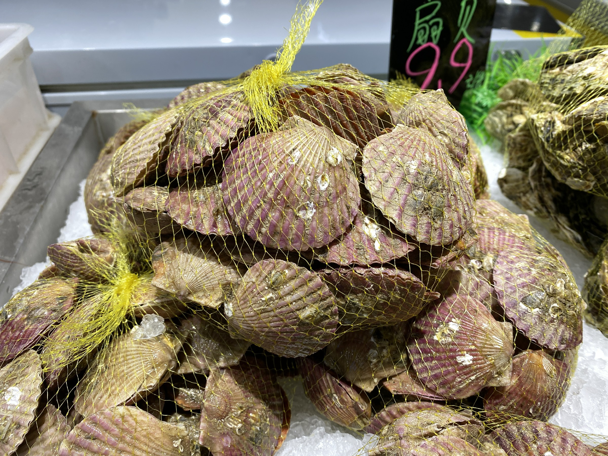 Steam the scallops, don’t rush to steam them, the old fishermen will teach you not to pass them on. They are tender and tasteless.
