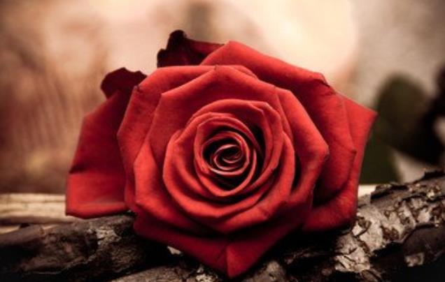 成功的人，敢于“尝试”