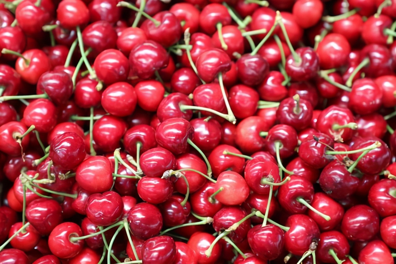 �ڶ����й�•�γ�ӣ����Ӫ������Ļ �γ�ӣ����������