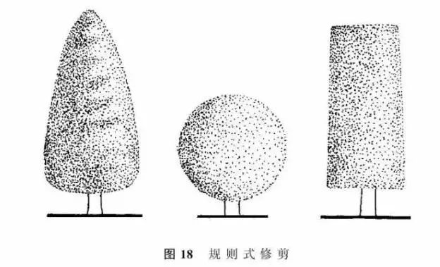 园林景观-乔木、灌木、藤本植物养护技术规范