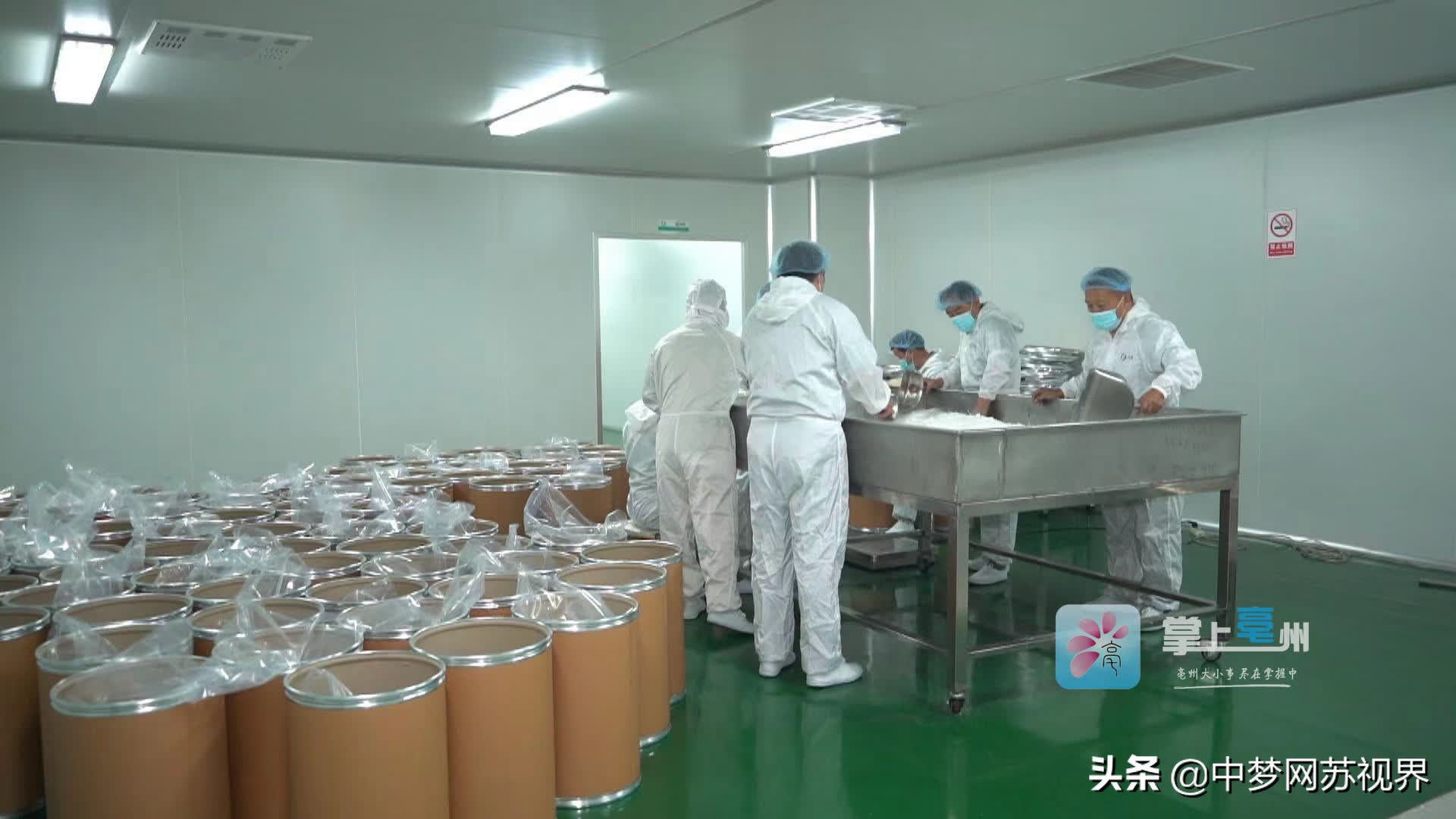 构建全产业链体系 建设“世界中医药之都”