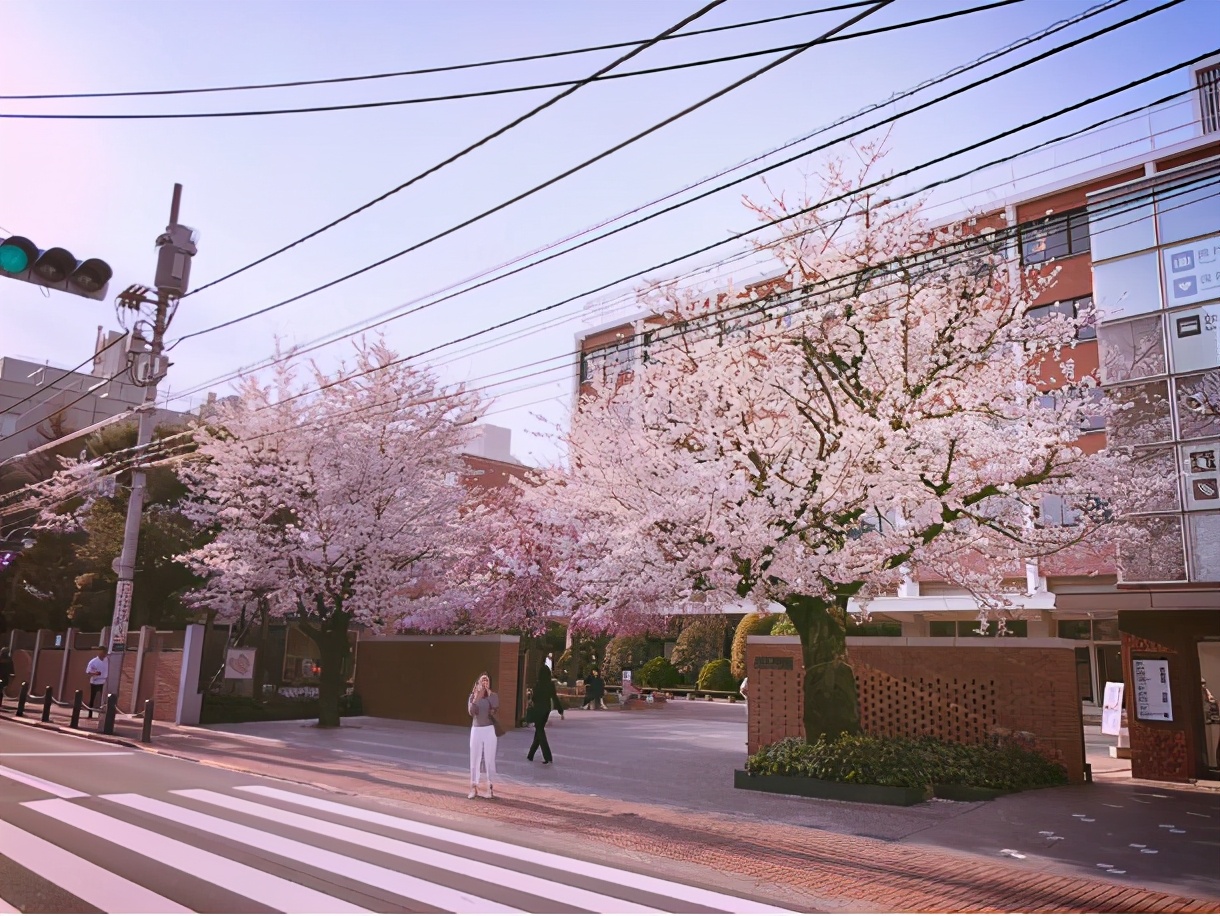 日本留学：有一种美，叫做立教大学