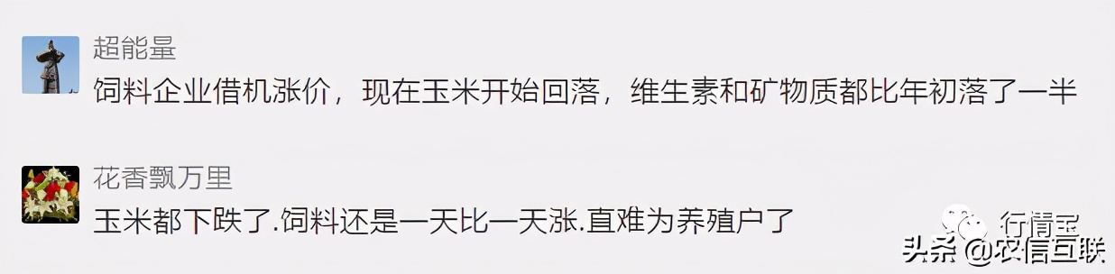 玉米暴涨1000元！11月饲料再涨价！正大、新希望等全部涨价