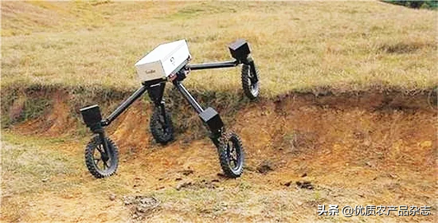 摘果、放牧、施肥，全面替代人力，國外農業(yè)機器人都在忙啥？