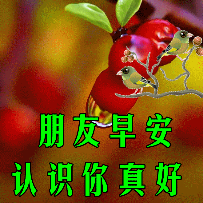 早安心语，正能量走心语录句子很好看的早上好图片图片