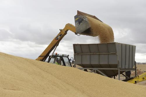 中国宣布铁矿石新规，6月1日开始执行，澳大利亚供应商偷着乐了