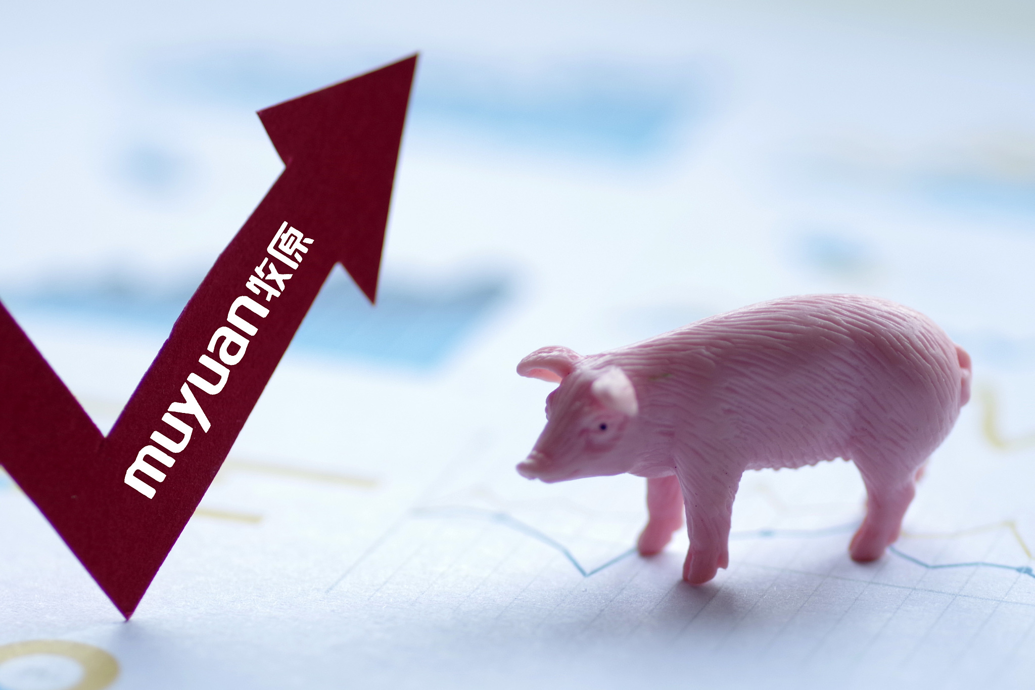 牧原股份回应质疑后，股价出现大涨，老板身家318亿美元