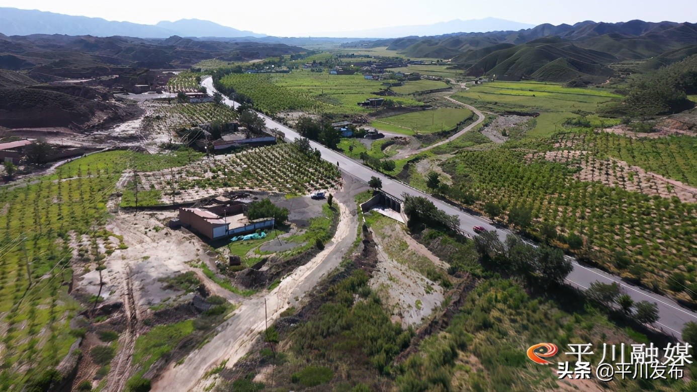 绘好大自然的底色--平川区大力组织开展国土绿化行动综述