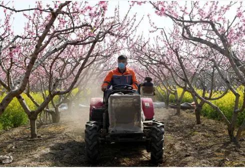 政策：用数字农业支持乡村振兴；国外55%以上农场使用农业机器人