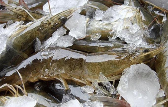 買大蝦，記住3個技巧，挑到的蝦個個質量好，鮮味足營養流失少