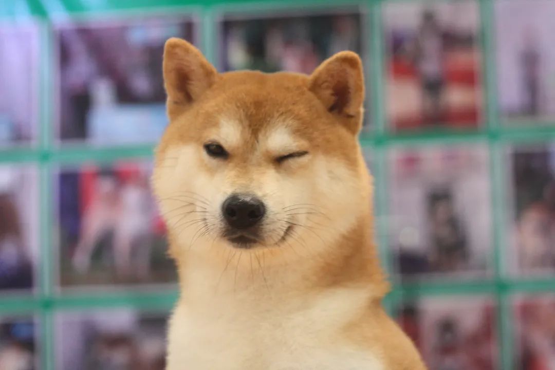 CPF西部重庆展 | 当下可为 未来可期，全力以赴只为更精彩的绽放
