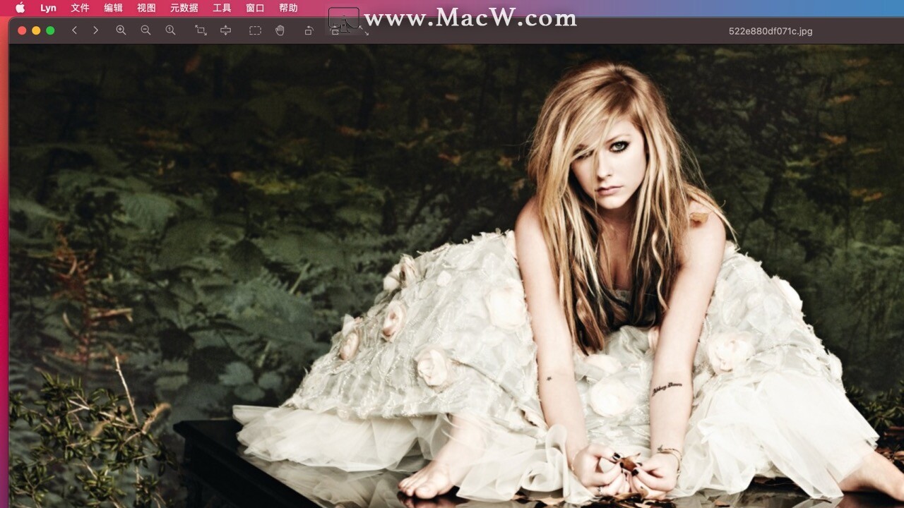 mac上浏览图片小应用集合