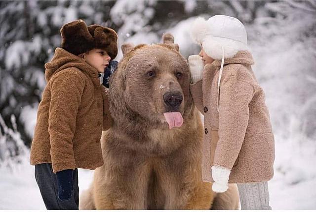 这对夫妇收留棕熊26年，棕熊无以为报，生个儿子