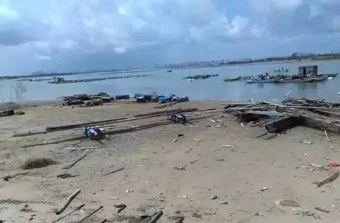 台风“烟花”导致渔业损失十亿，台风后遗症到底危害有多大？