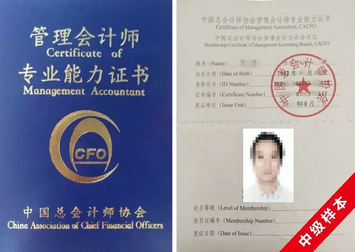 874万毕业生今年将何去何从？