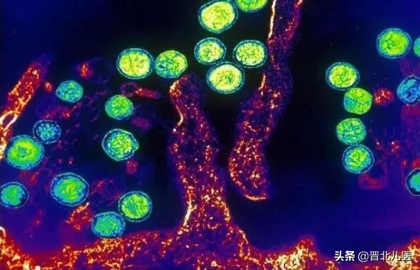 农乐生物 疫情来袭,来了解一下微生物!