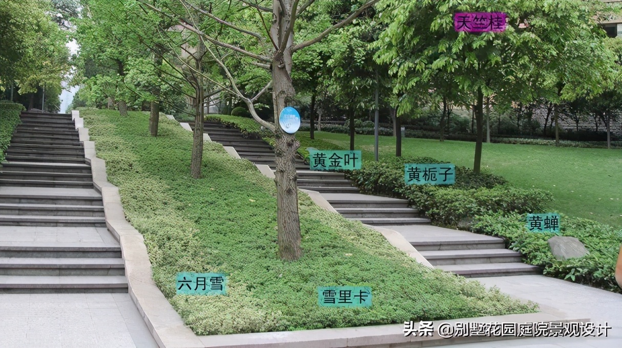 別墅庭院常用植物分享，附照片及名字標(biāo)注（珍藏版）