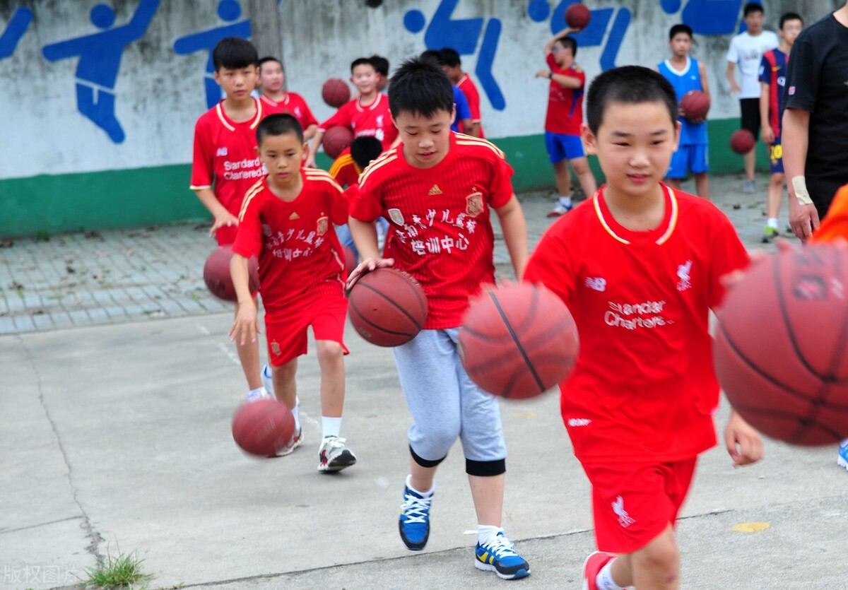 篮球培训机构教务管理信息系统功能有什么？