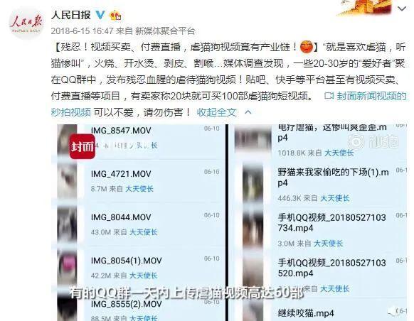 骂这禽兽我绝不道歉