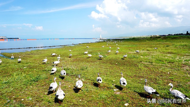 游青海湖南岸的“二郎剑景区”，湖面上还有一座鱼雷发射试验基地