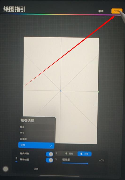 How to set the symmetry function of "painting" procreate? iNEWS