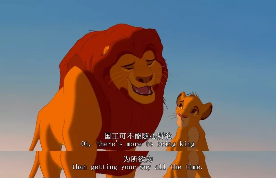 After mating, why does the lioness roll all over the floor, and even