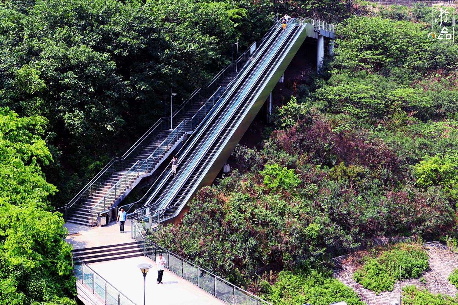 重庆人每天的交通工具，2元一次的电梯，不是景点游客却络绎不绝