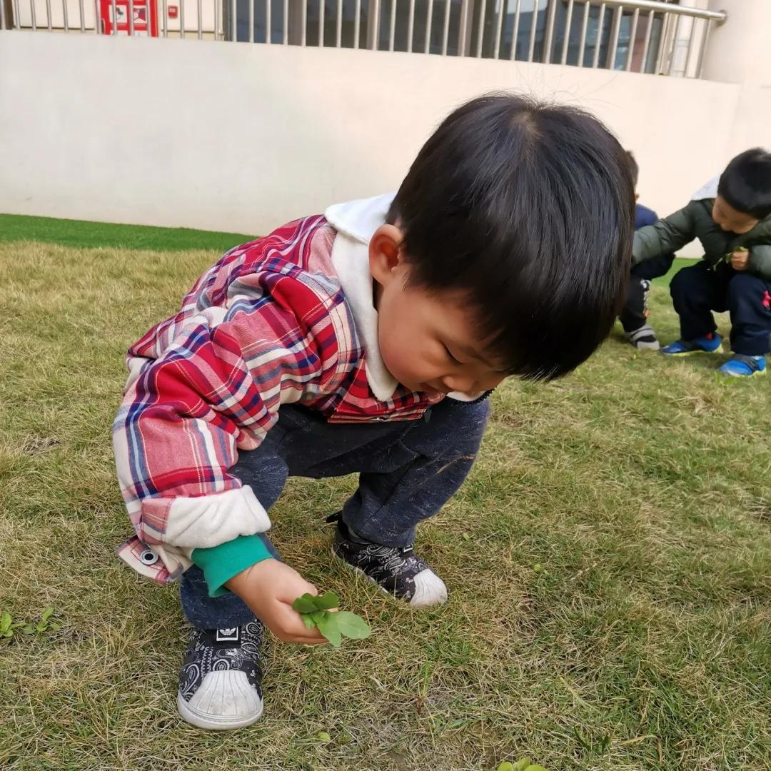 学习雷锋好榜样，童心传递正能量丨天府新区宁安幼儿园学雷锋活动