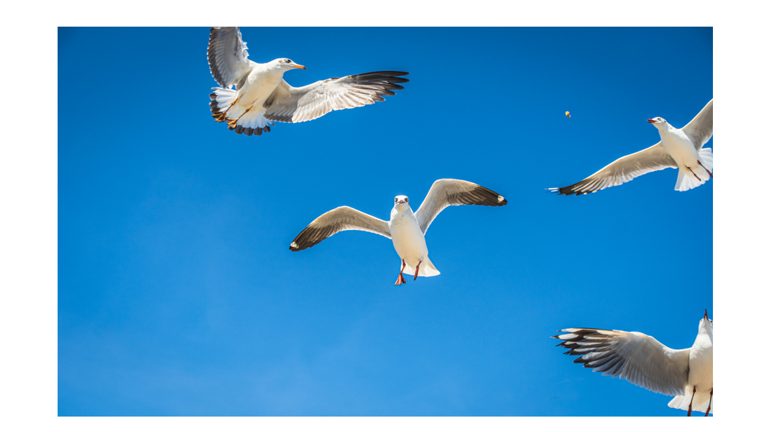 ���ڵ�ֱʾ����һλ��ʦ�Ŀ���