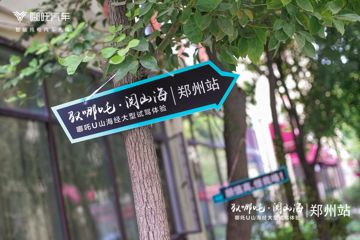大河报汽车网