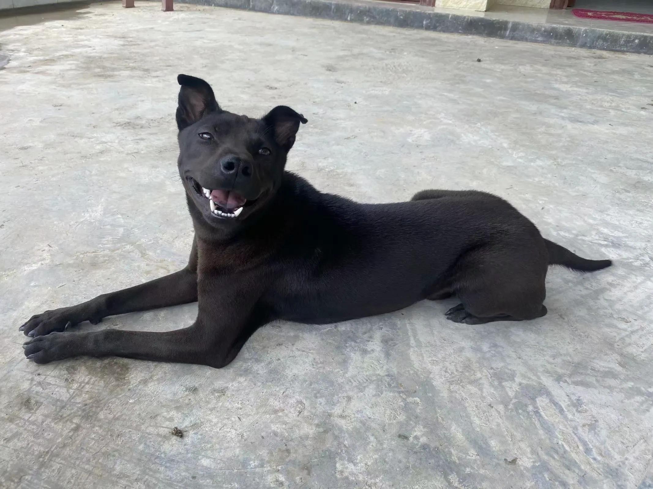 新手如何做好自媒体（干货分享）