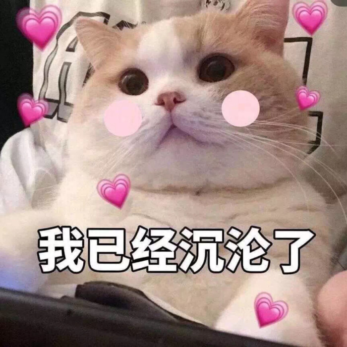 表白日‖挑一句拿去表白吧！