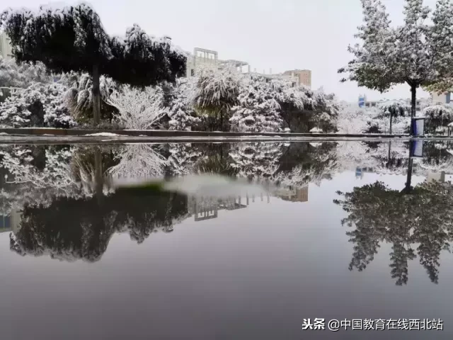 甘肃初雪|甘肃18所高校初学雪景大PK,快来看看有你的母校没?