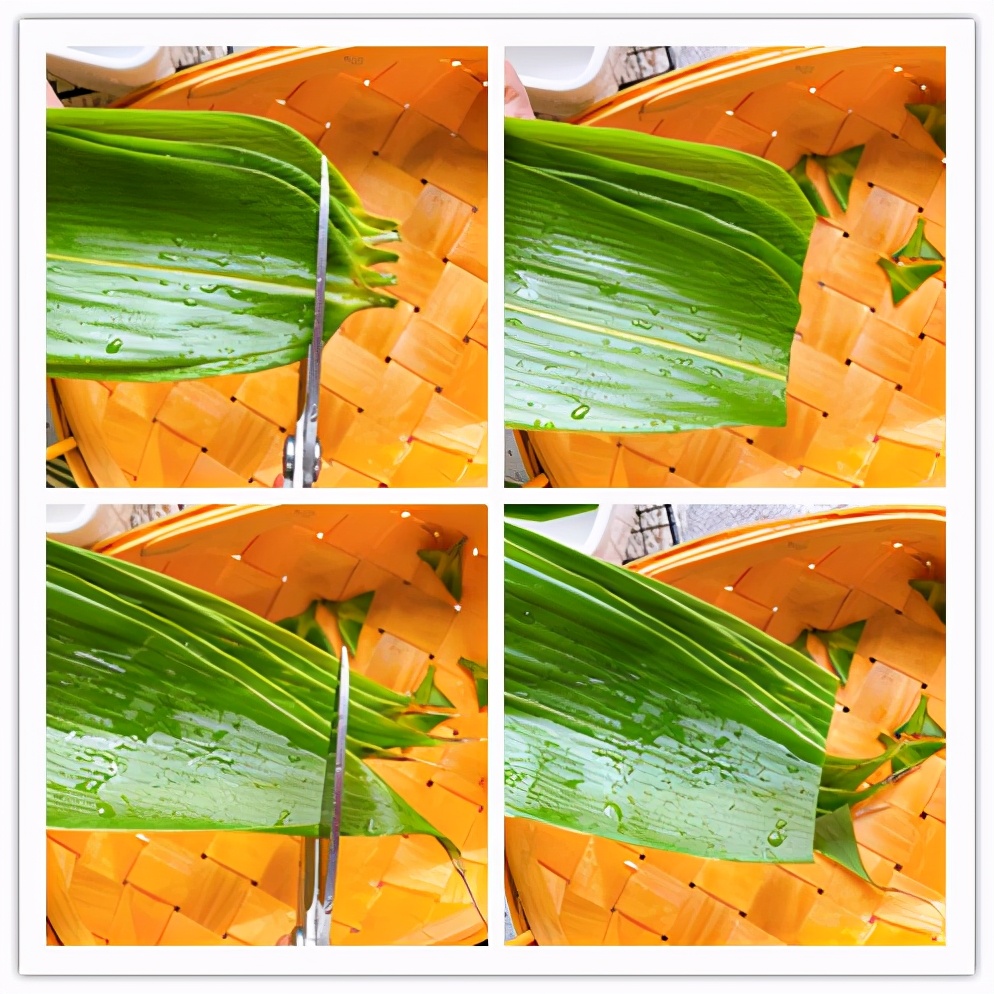 過端午就買不到新鮮粽葉，教你這樣儲存，顏色翠綠一年四季都能用