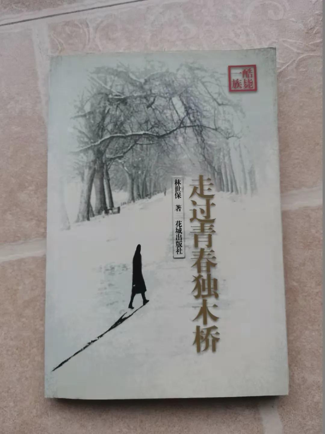 老杨和老林：从两头“文学小青年”到两个“造院大叔”