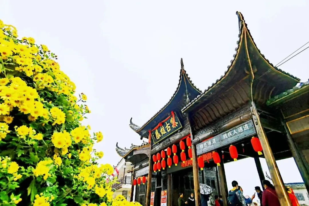 双节同庆|双节同庆，武汉新洲凤娃古寨8天长假完美收官