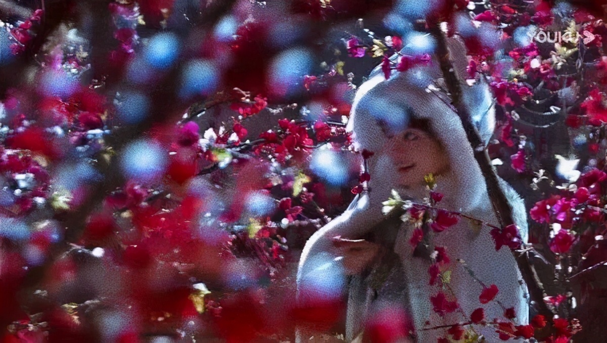 有花堪折直须折 莫待无花空折枝 资讯咖