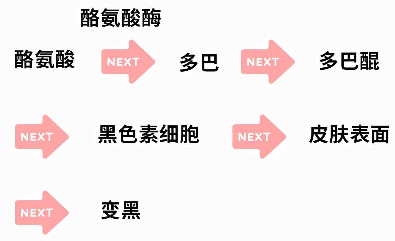 烟酰胺的风这么大，它到底有多神奇？